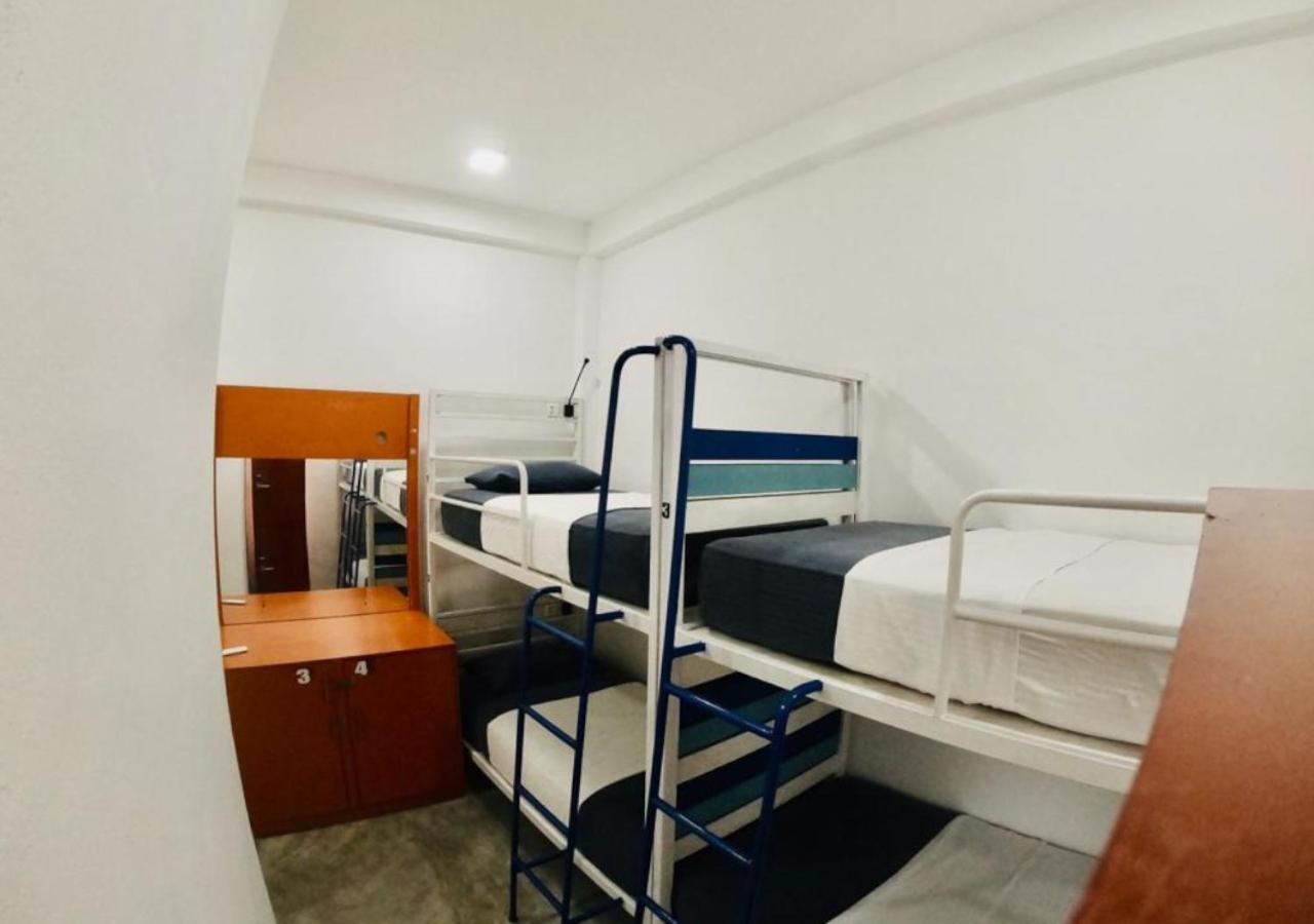 Hangover Hostels アルガムベイ エクステリア 写真