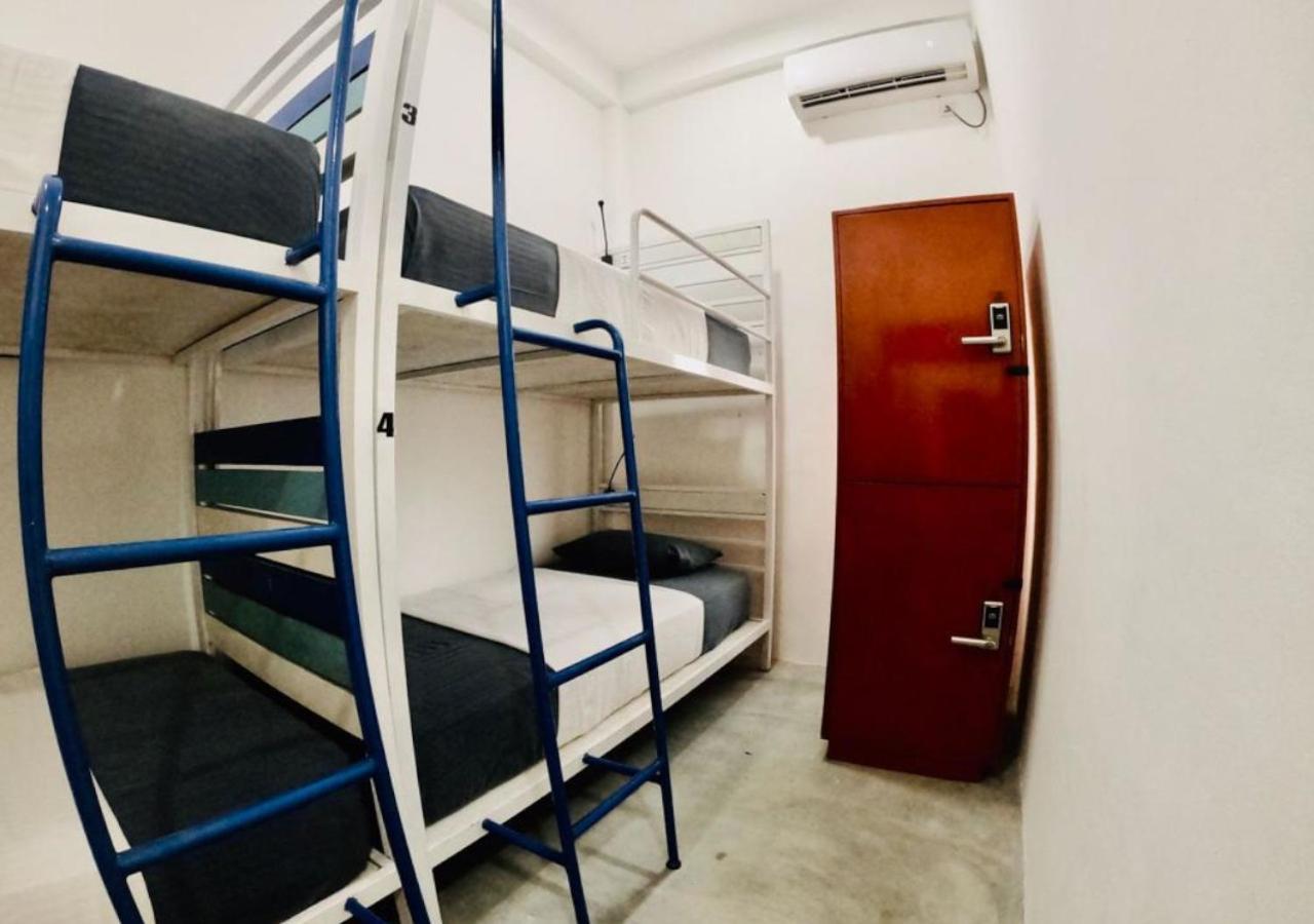 Hangover Hostels アルガムベイ エクステリア 写真