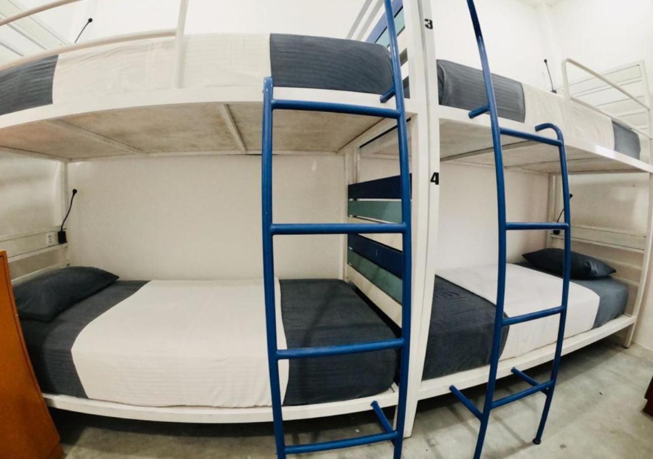 Hangover Hostels アルガムベイ エクステリア 写真